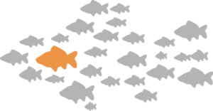 Grey-Fish-Web