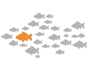 fish Fish Cluster