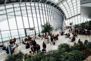 Go Green and Promote Sustainability